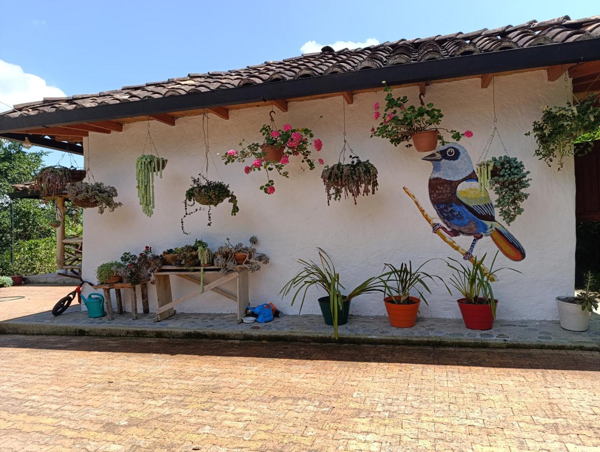 Finca Cometa San Agustín Exterior foto