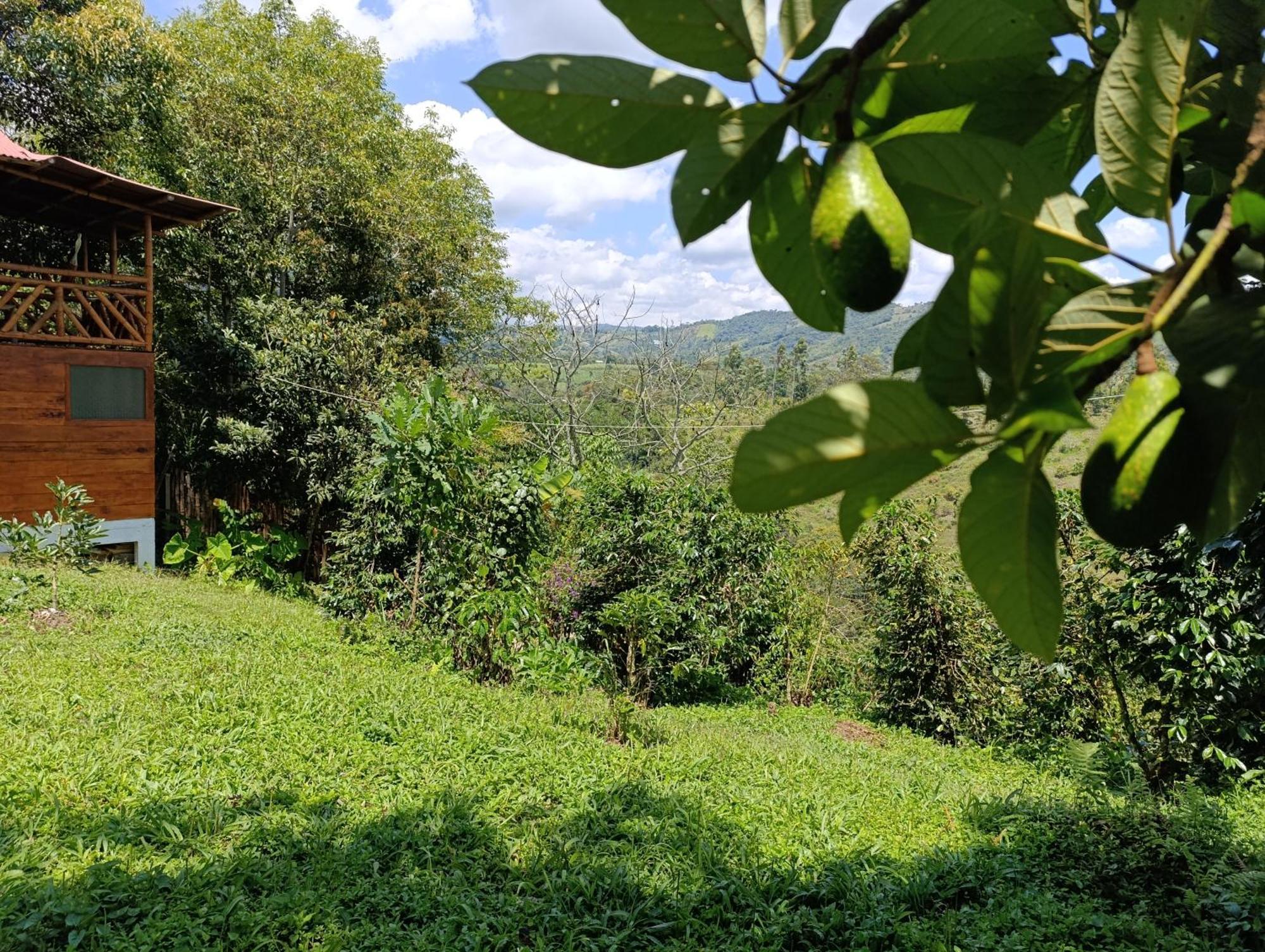 Finca Cometa San Agustín Exterior foto